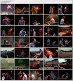 BRUCE SPRINGSTEEN - Born To Run - 1 great live performance