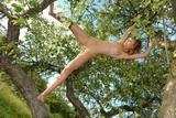 Alizeya A - Tree Monkey 2 -i4hkj4p1qx.jpg