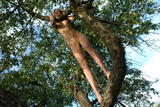 Alizeya-A-Tree-Monkey-2--e3wix6mqt4.jpg