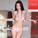 Vic E - Balcony View -53uxrgcbjs.jpg